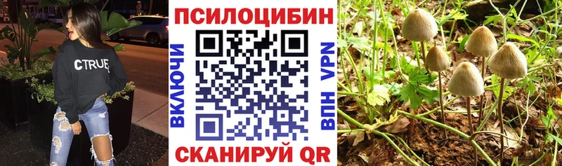 Галлюциногенные грибы мухоморы  наркотики  Одинцово 