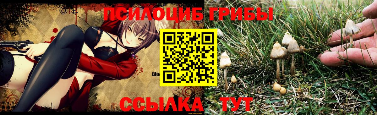 Галлюциногенные грибы Magic Shrooms  Вход с VPN  Галлюциногенные грибы GOLDEN TEACHER  Одинцово 